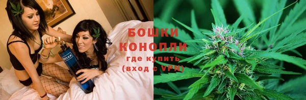 хмурый Арсеньев